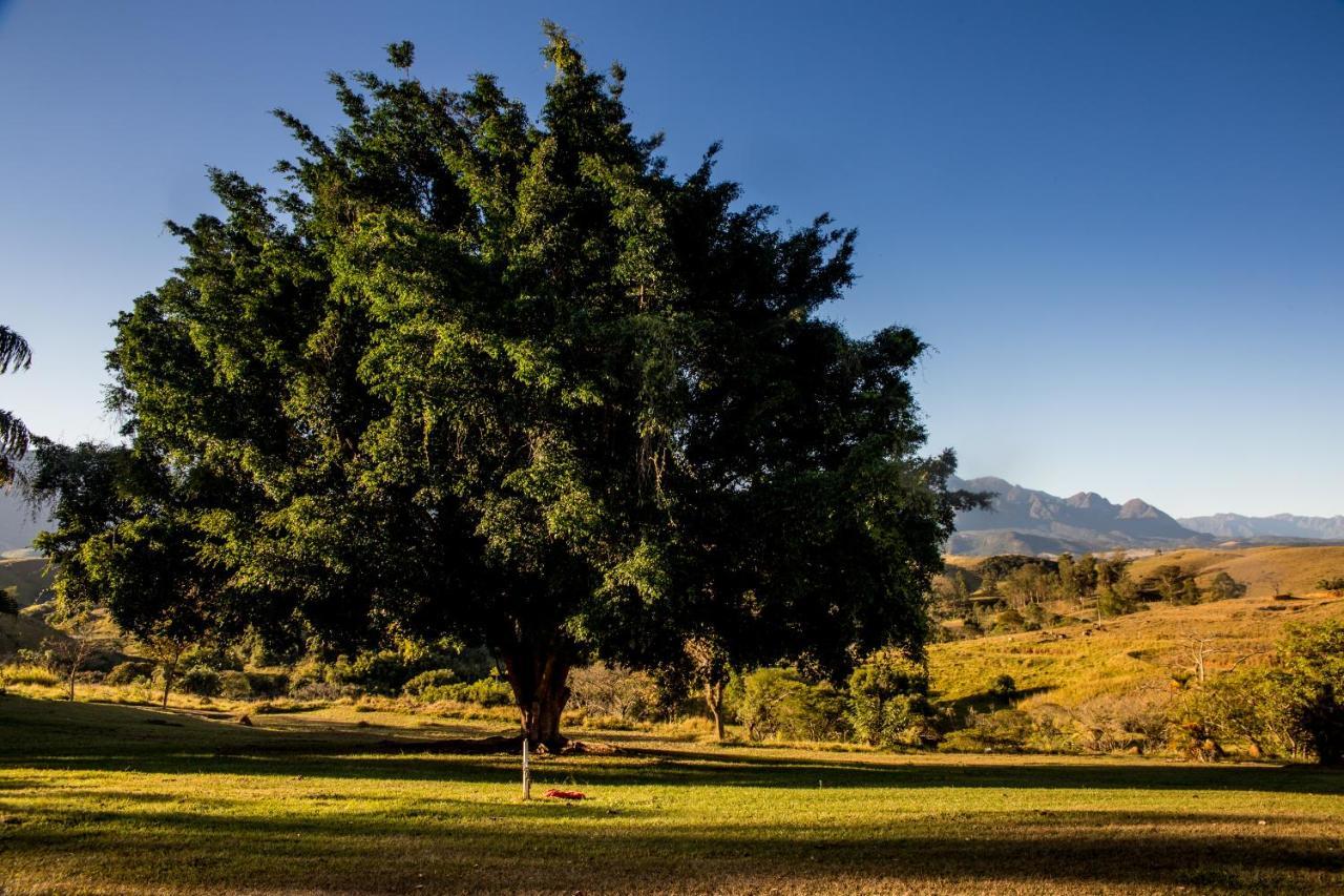 Pousada E Espaco Flor Da Serra Cruzeiro  Bagian luar foto
